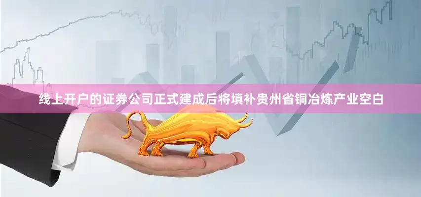 线上开户的证券公司正式建成后将填补贵州省铜冶炼产业空白