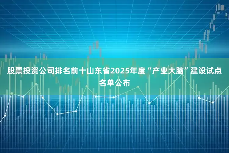 股票投资公司排名前十山东省2025年度“产业大脑”建设试点名单公布