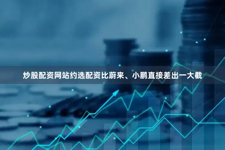 炒股配资网站约选配资比蔚来、小鹏直接差出一大截