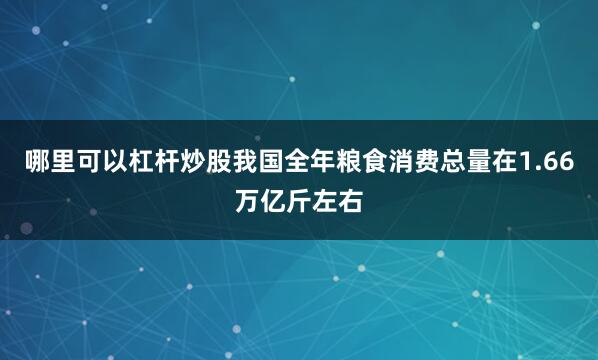哪里可以杠杆炒股我国全年粮食消费总量在1.66万亿斤左右